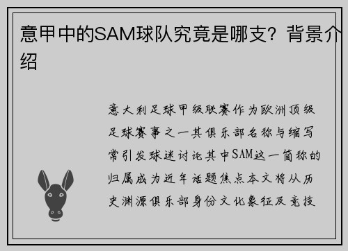 意甲中的SAM球队究竟是哪支？背景介绍