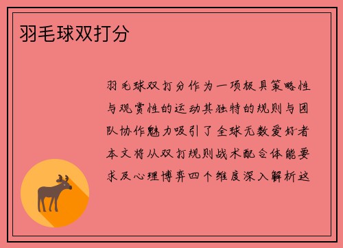 羽毛球双打分