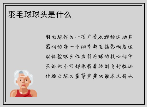 羽毛球球头是什么