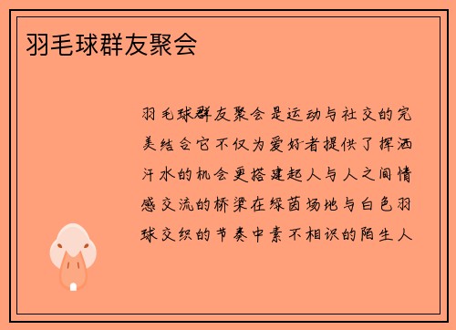 羽毛球群友聚会