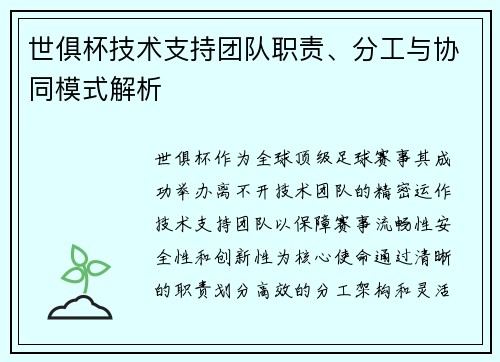 世俱杯技术支持团队职责、分工与协同模式解析